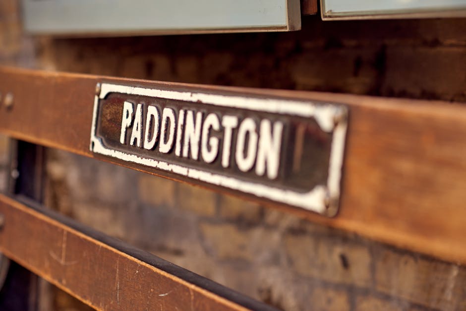 A red and black articulated bus displaying 'Paddington' on its front, is stopped at a bus lane on a city street near a large, ornate beige building with multiple windows and decorative architectural d